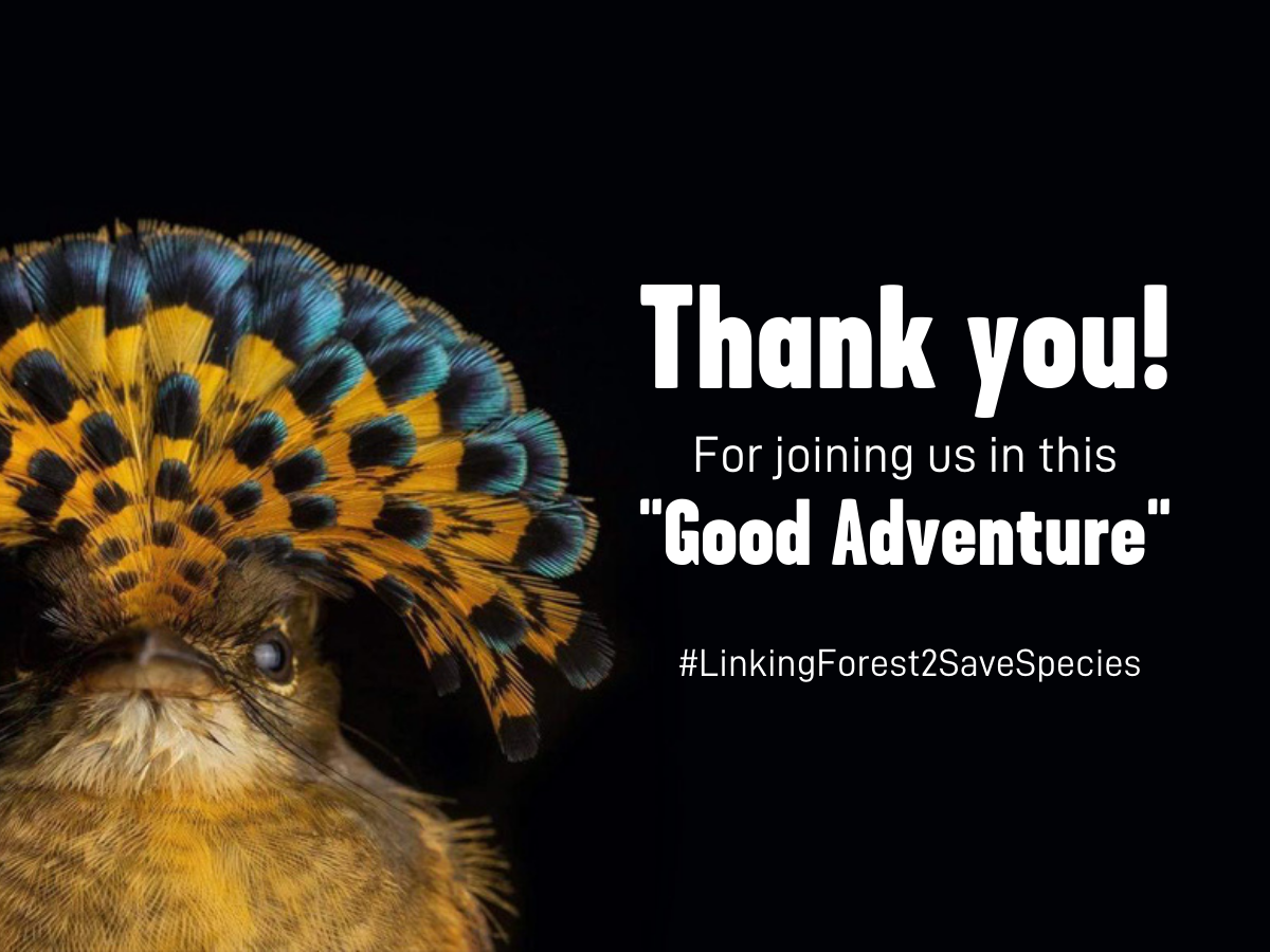 Thank you for supporting our initiative of LinkingForest2SaveSpecies in Buenaventura